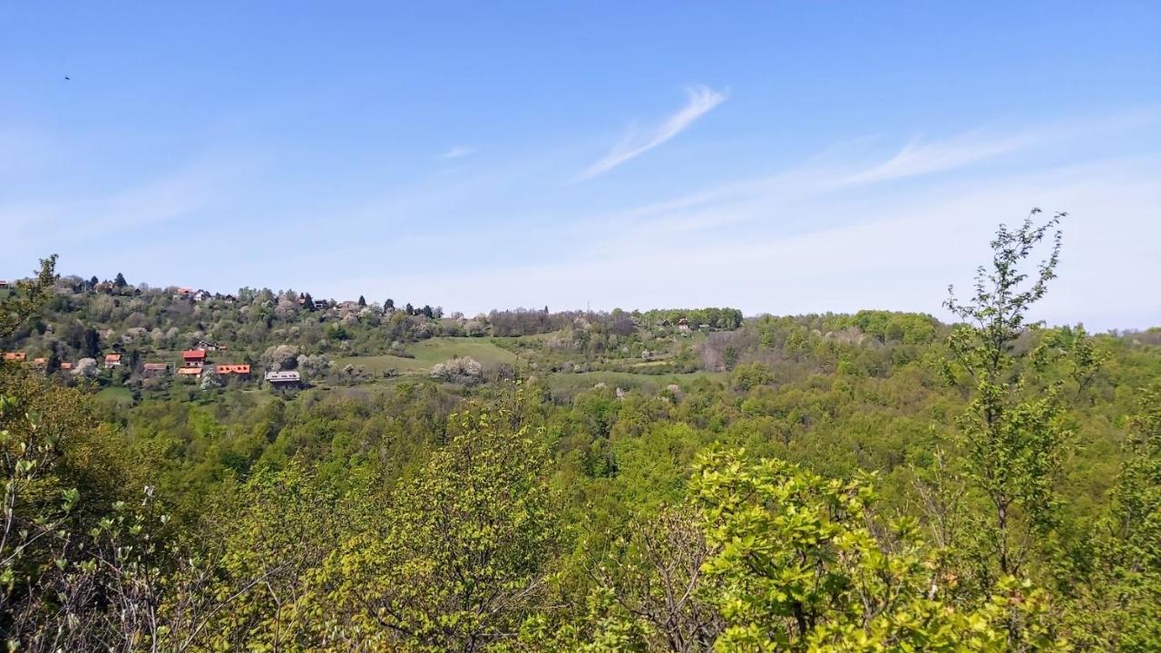 Kuca Za Odmor Poljanica Okicka Villa Jastrebarsko Exterior foto