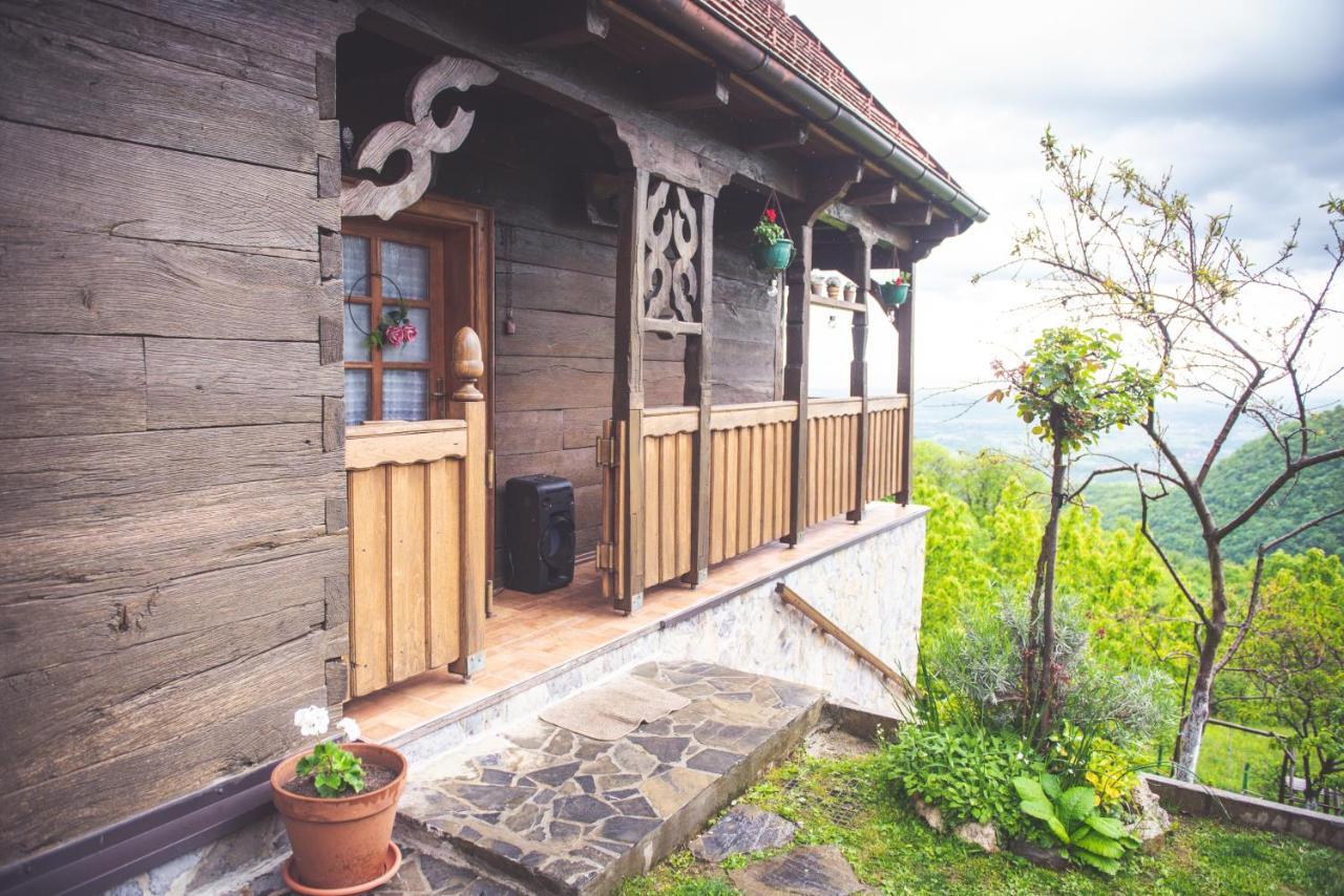 Kuca Za Odmor Poljanica Okicka Villa Jastrebarsko Exterior foto