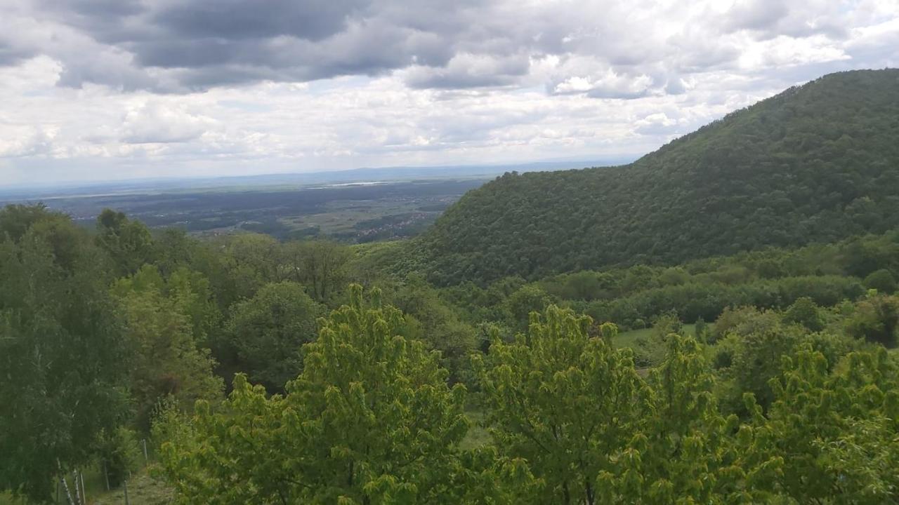 Kuca Za Odmor Poljanica Okicka Villa Jastrebarsko Exterior foto