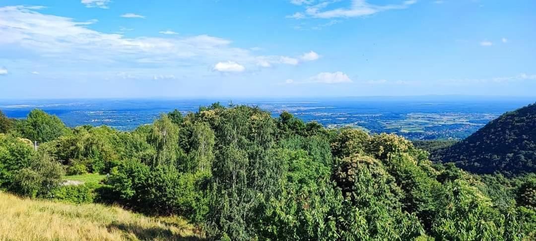 Kuca Za Odmor Poljanica Okicka Villa Jastrebarsko Exterior foto