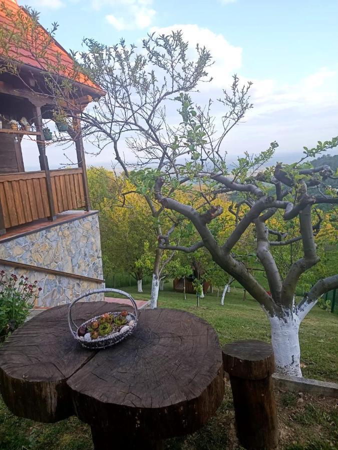 Kuca Za Odmor Poljanica Okicka Villa Jastrebarsko Exterior foto