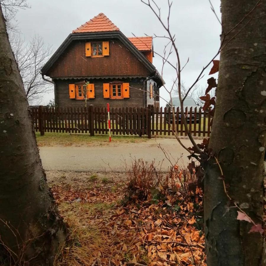 Kuca Za Odmor Poljanica Okicka Villa Jastrebarsko Exterior foto